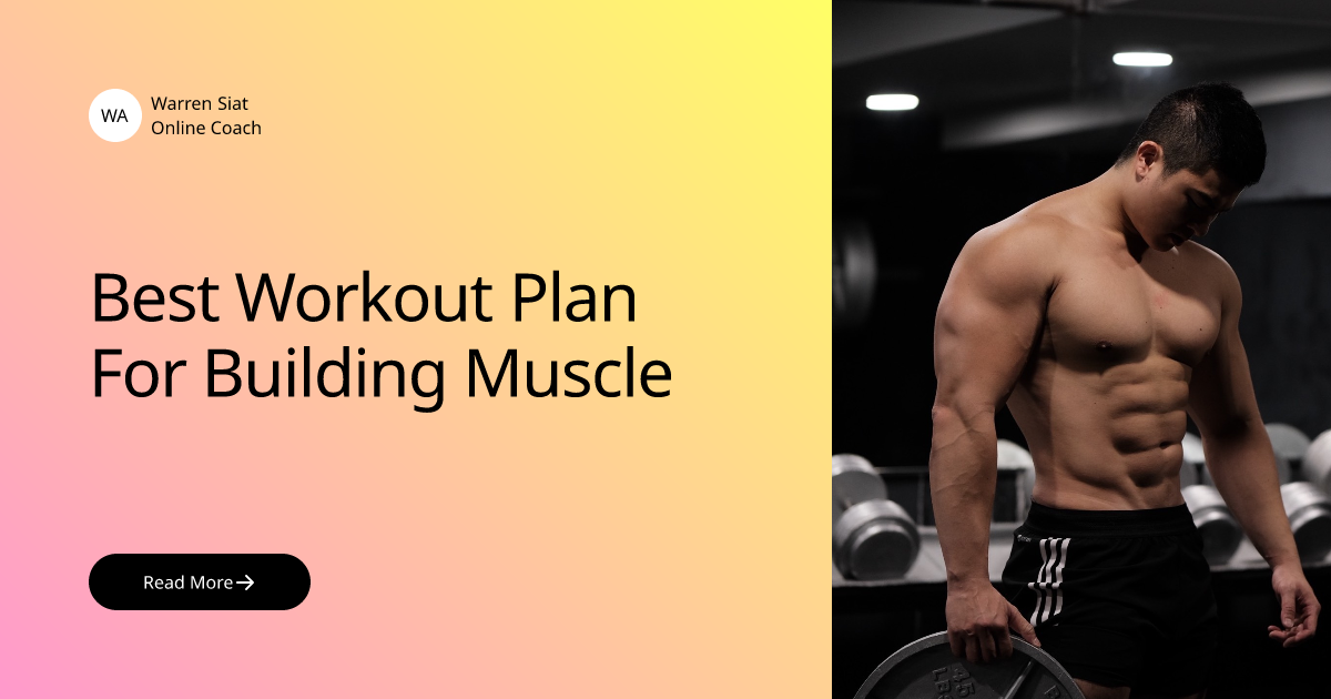Best Workout Plan For Building Muscle